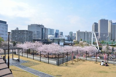 🏞️ 히가시시나가와 해상공원(히가시시나가와카이조코엔) 이미지 2